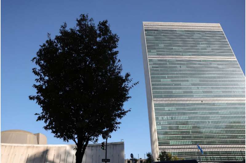 A December meeting of officials from UN member countries is to review global internet governance